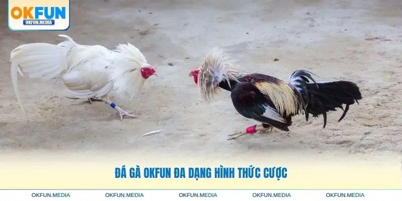 da-ga-okfun-da-dang-hinh-thuc