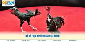 da-ga-truc-tuyen-thomo